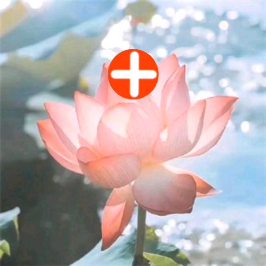 幺妹好物