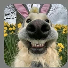 是秃子总会发光✨、