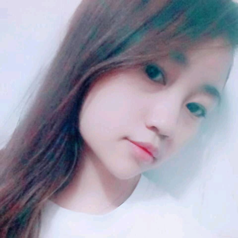 青叶竹