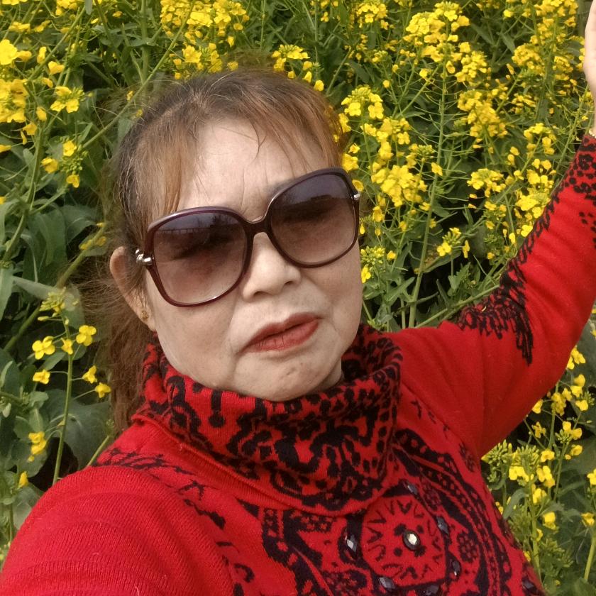 逍遥人生晚上七点开播小号