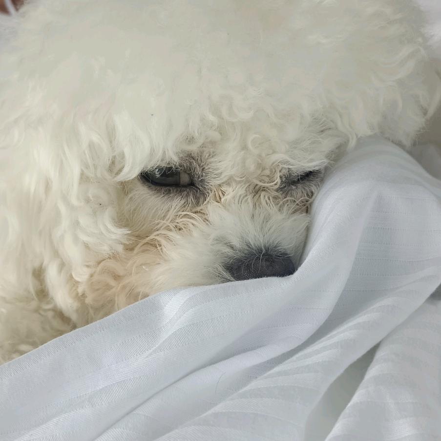 瞬间