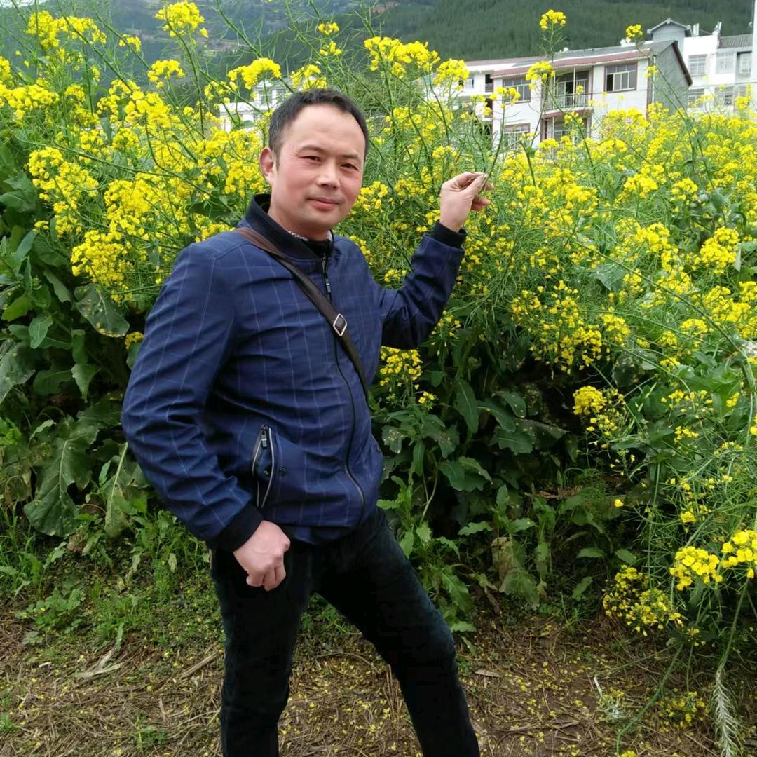一生情缘