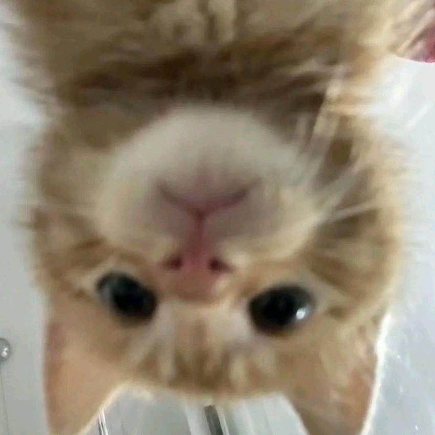 o.O?