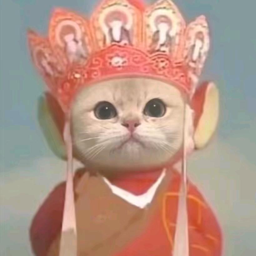 卿念՞˶･֊･˶՞ಣ