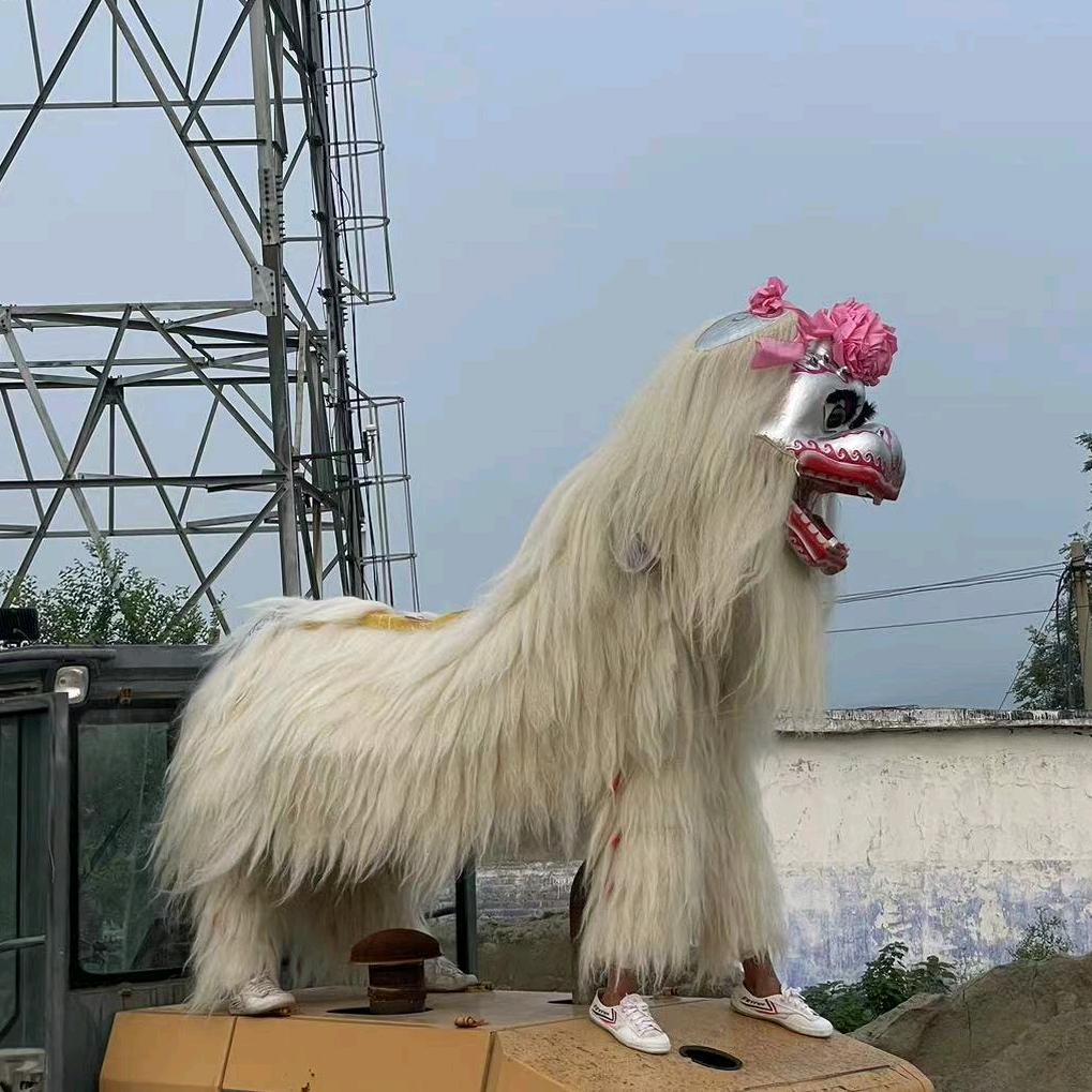 伊川小白狮 祭拜 醉狮（皓皓）