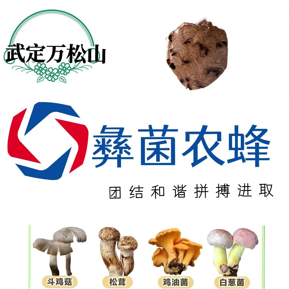 武定彝菌农蜂