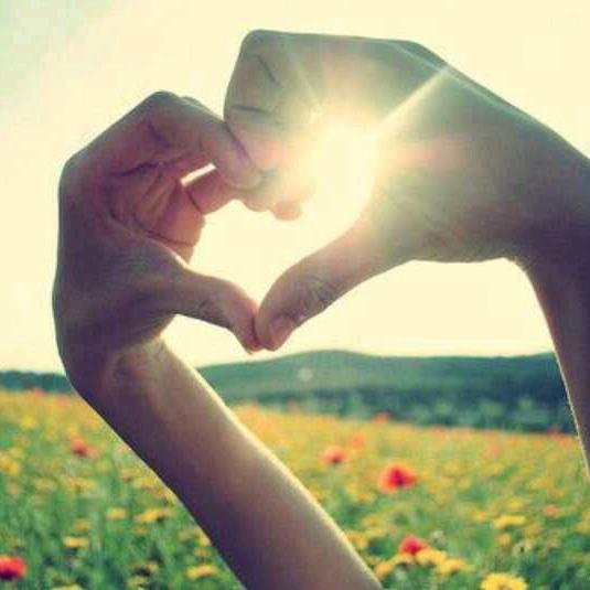 🌈吉星高赵🌈