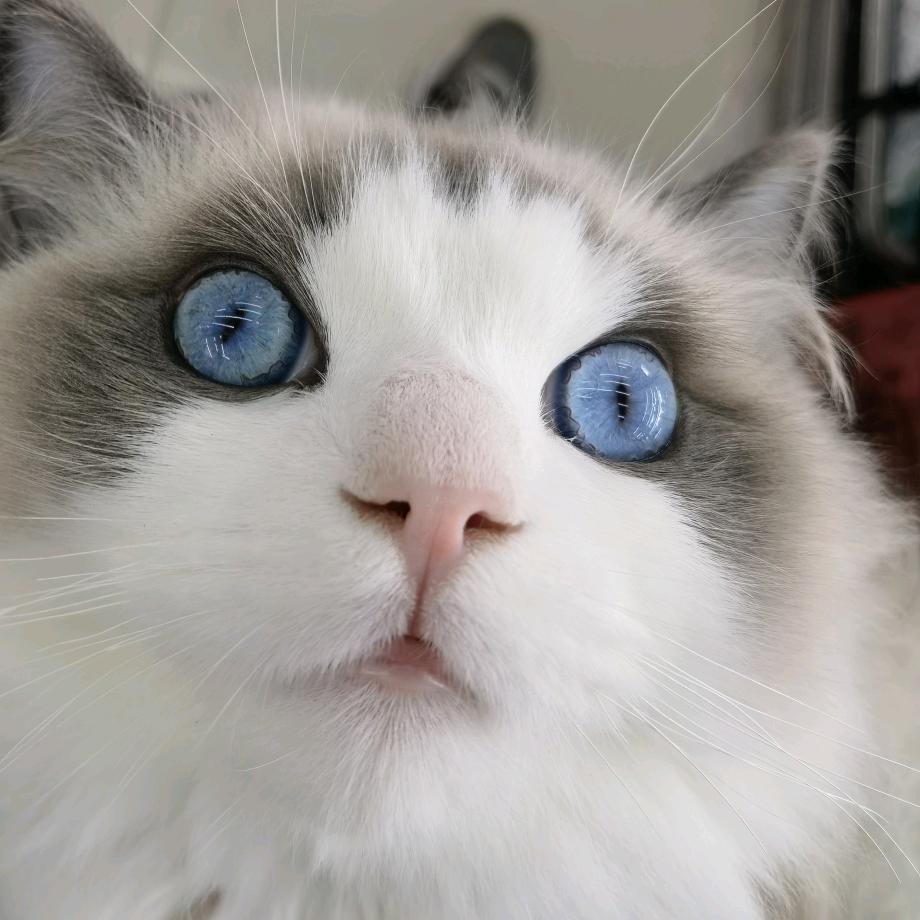 💖多吃饭少熬夜