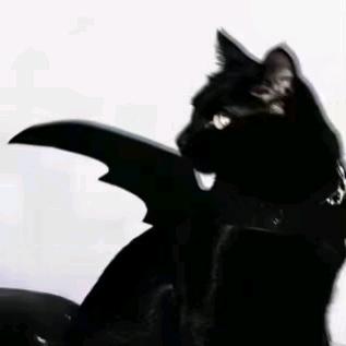 情绪总在心尖上