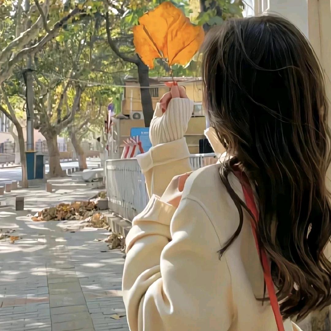 美惠佳商店(长新楼店)兰帖14客服号