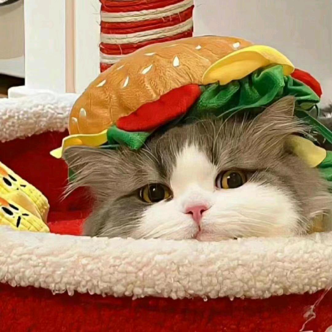 🌈爱理.