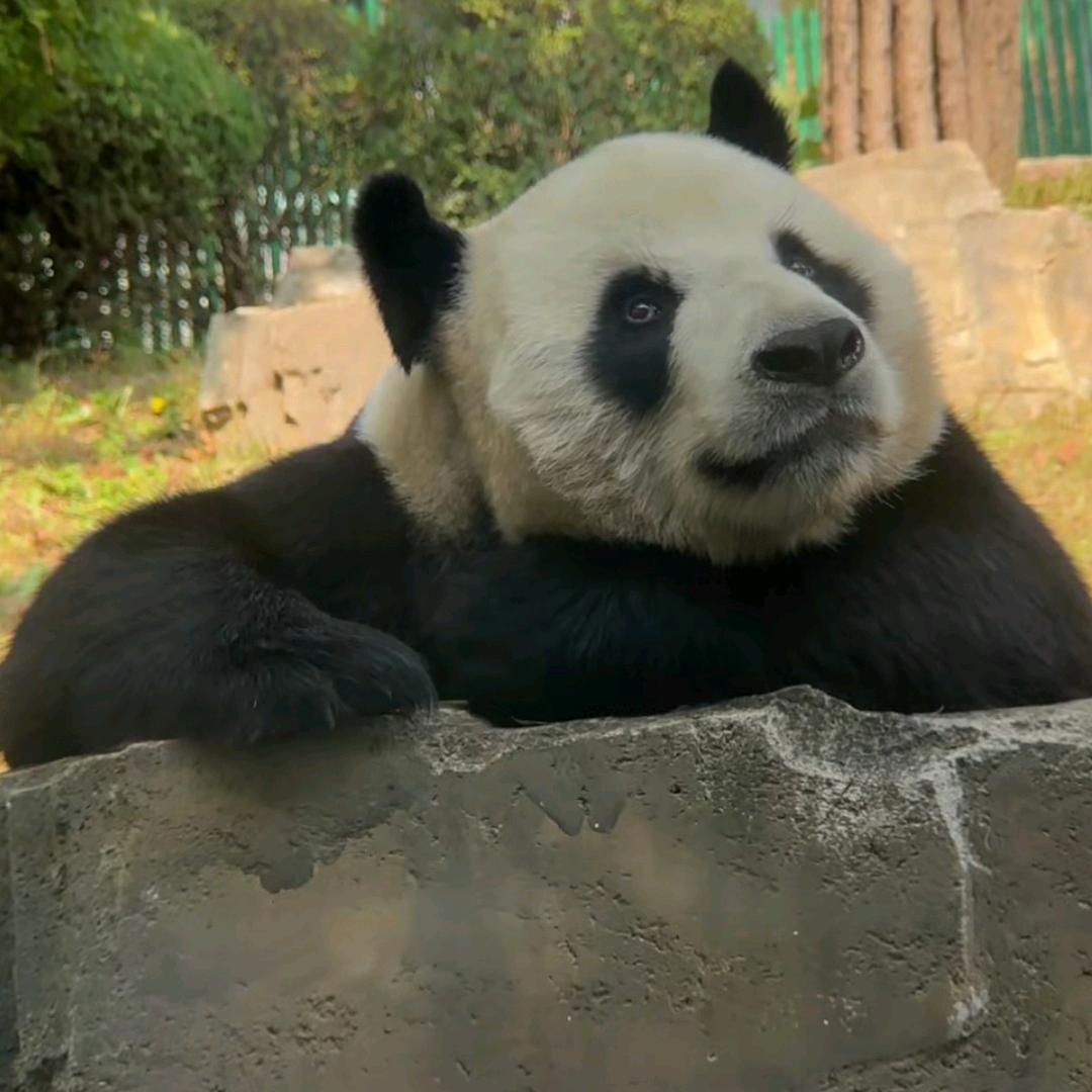 晴天太阳