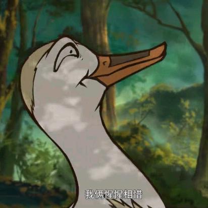 手上有大量比特软妹币