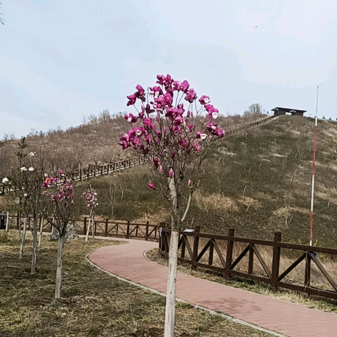 梓琪剪映