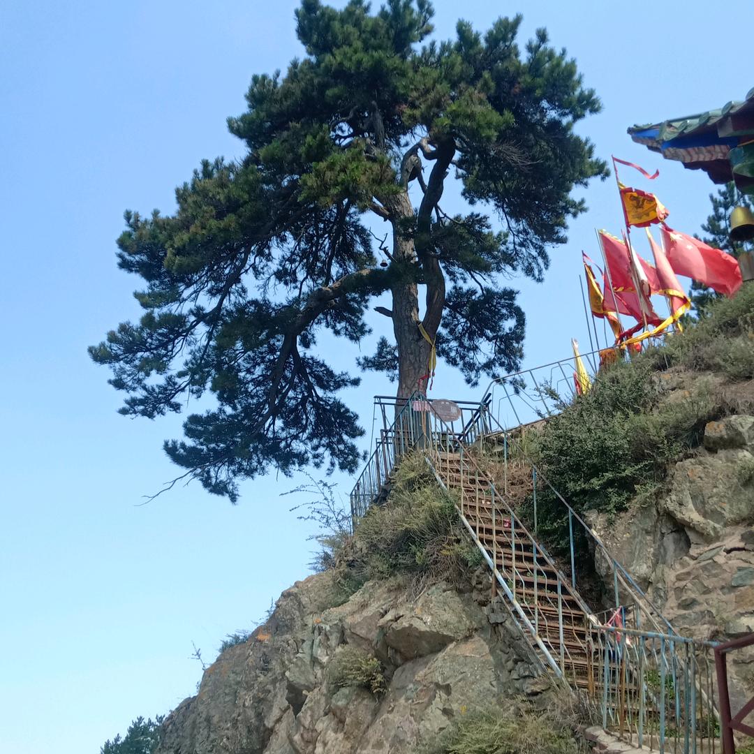 无须终有