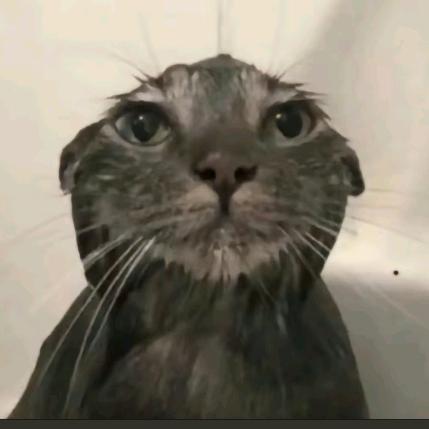叭