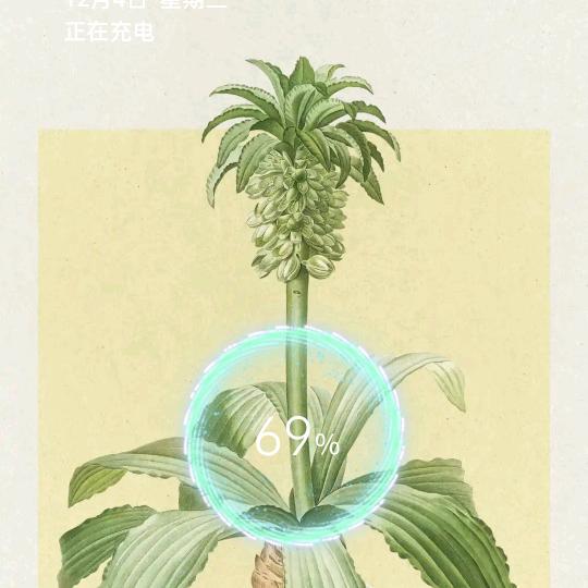 助力上an
