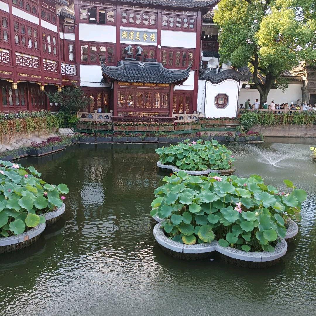 顺风顺水🌹🐠💰