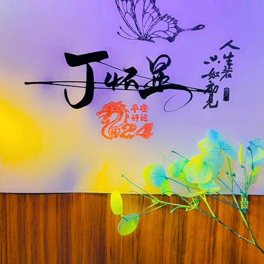 岁月人生888