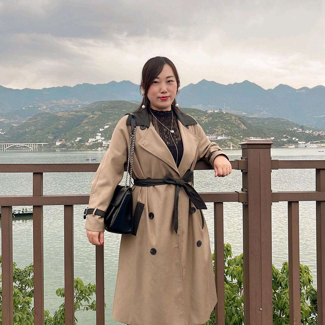 飞燕团购
