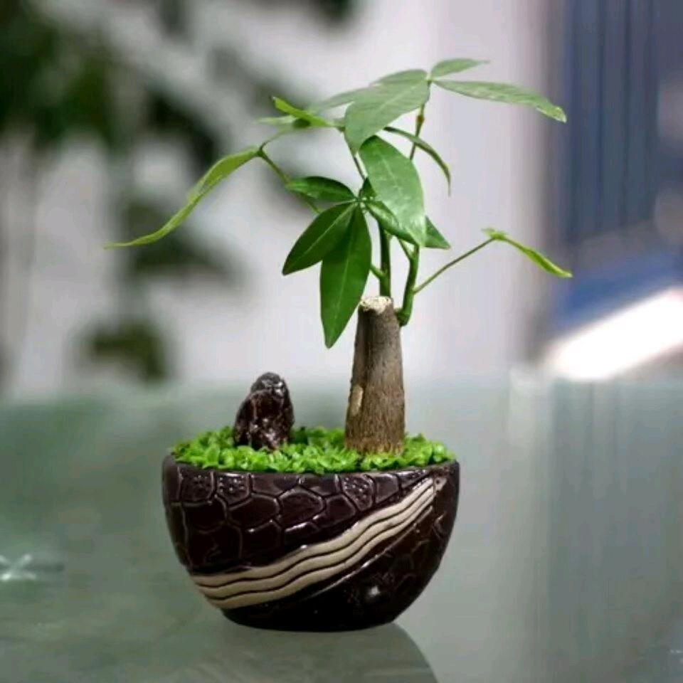 孝为先