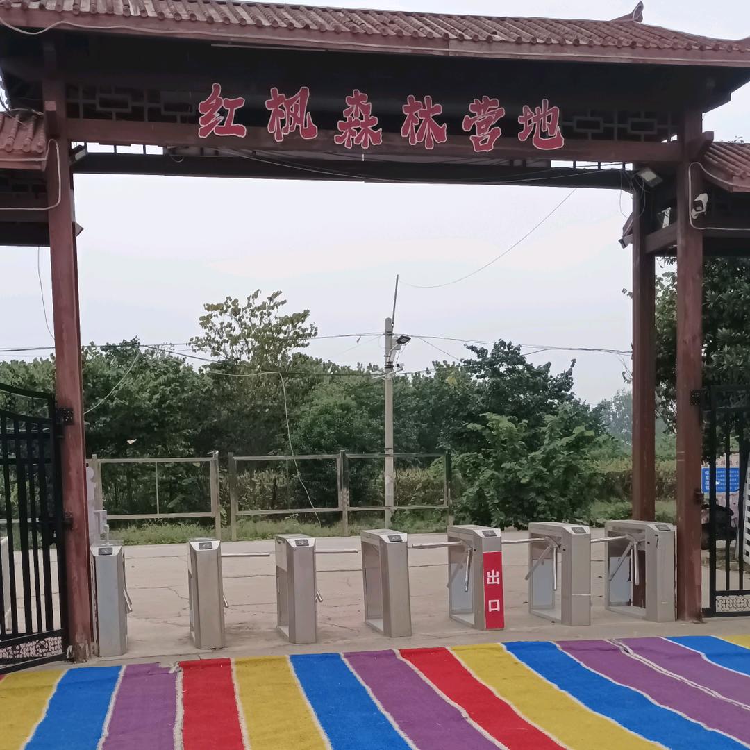 红枫森林-小黑