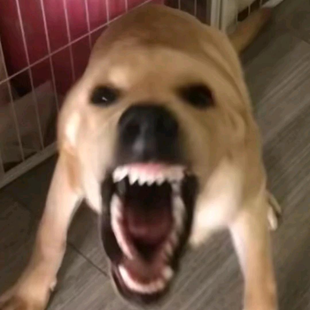 悪