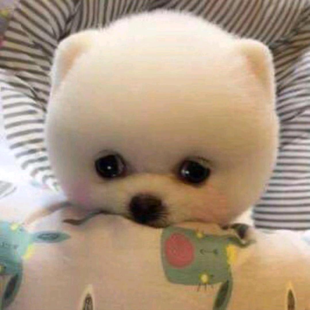 悠然自得