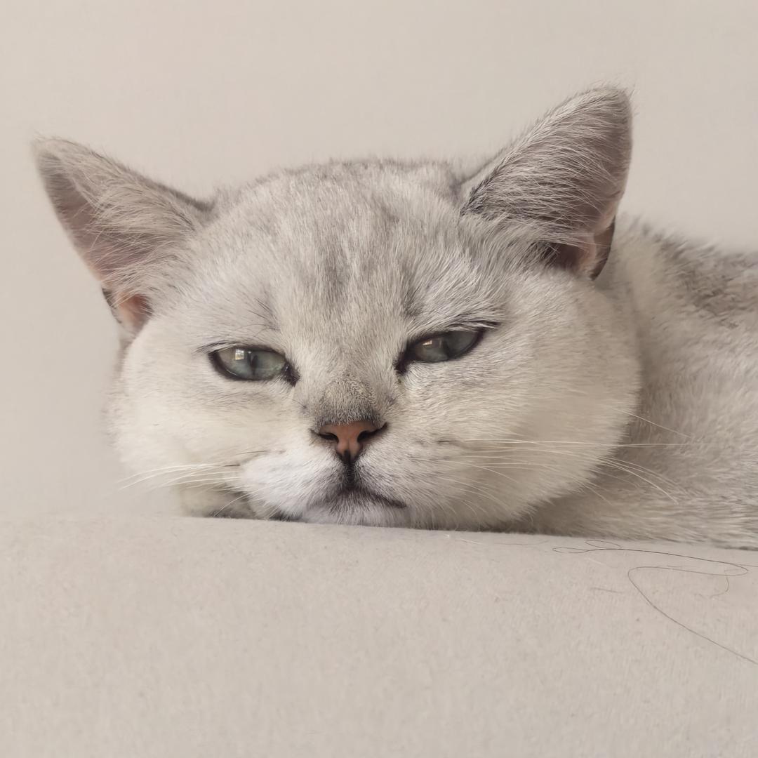 千里故人