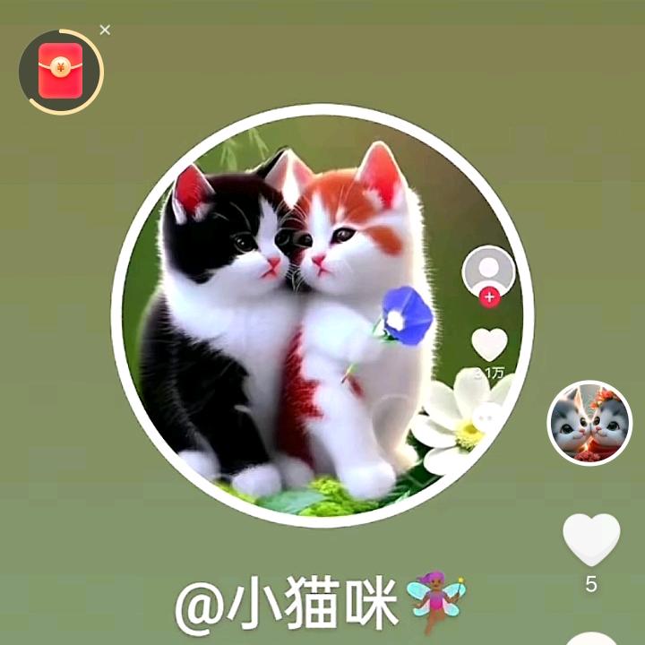 小猫咪🧚🏾‍♀️