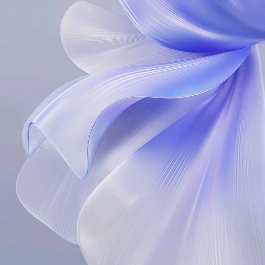 空心菜