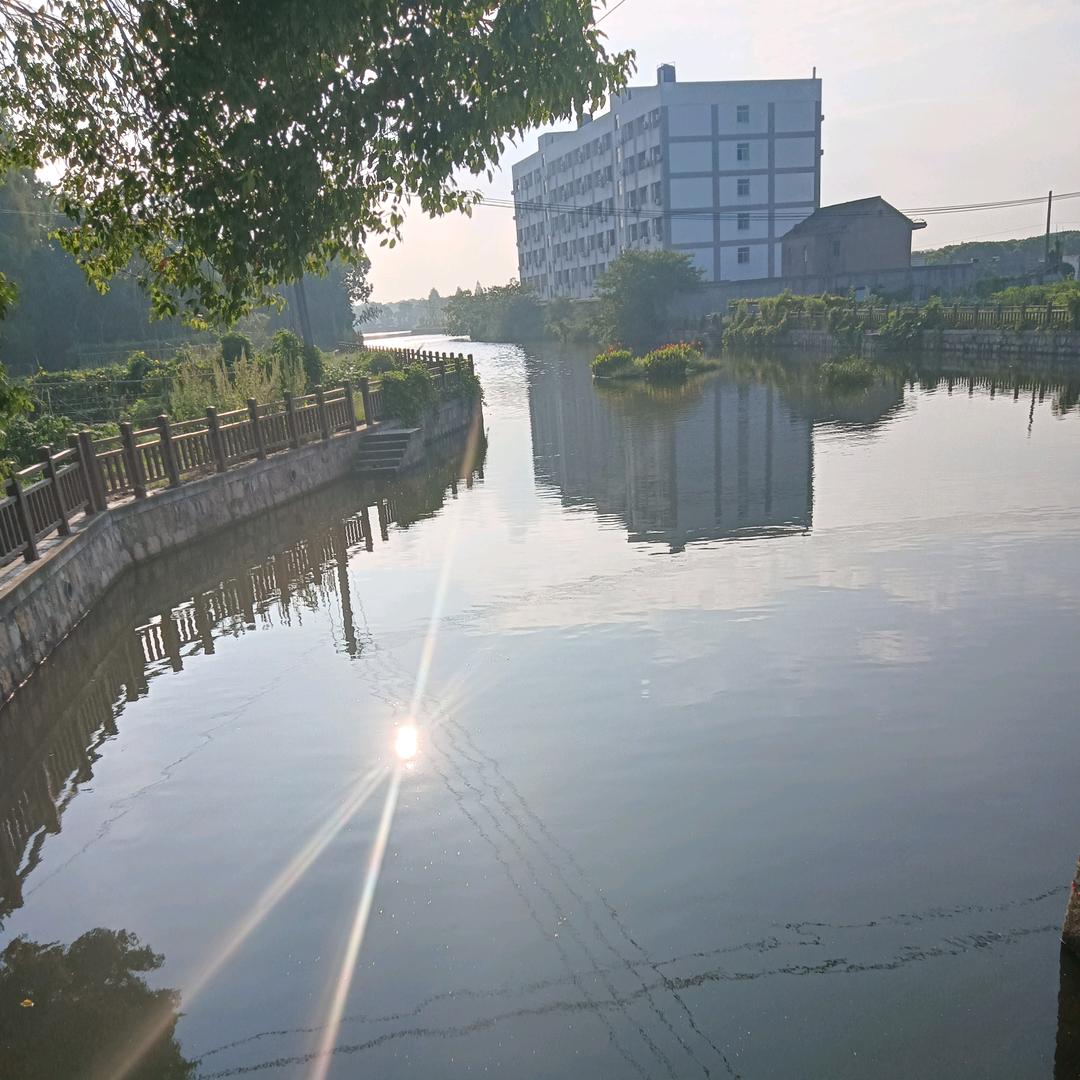 坦然