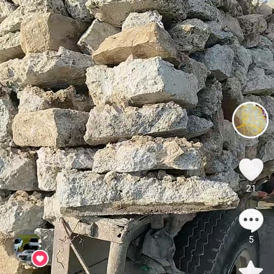 到处溜，开心就好