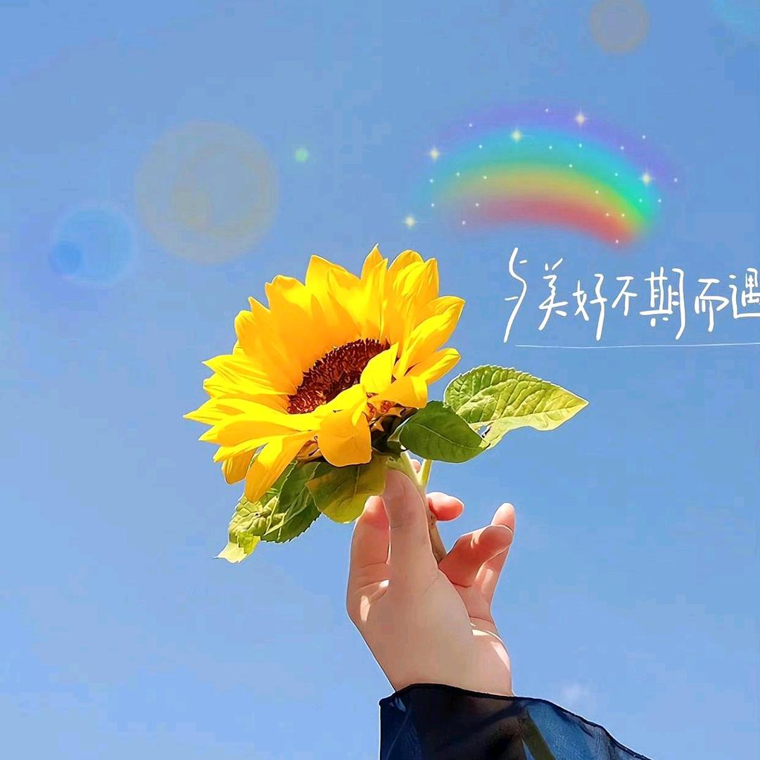 柚子味的🌸 气泡🐾