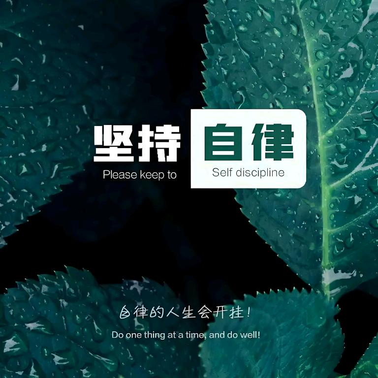 自律南站