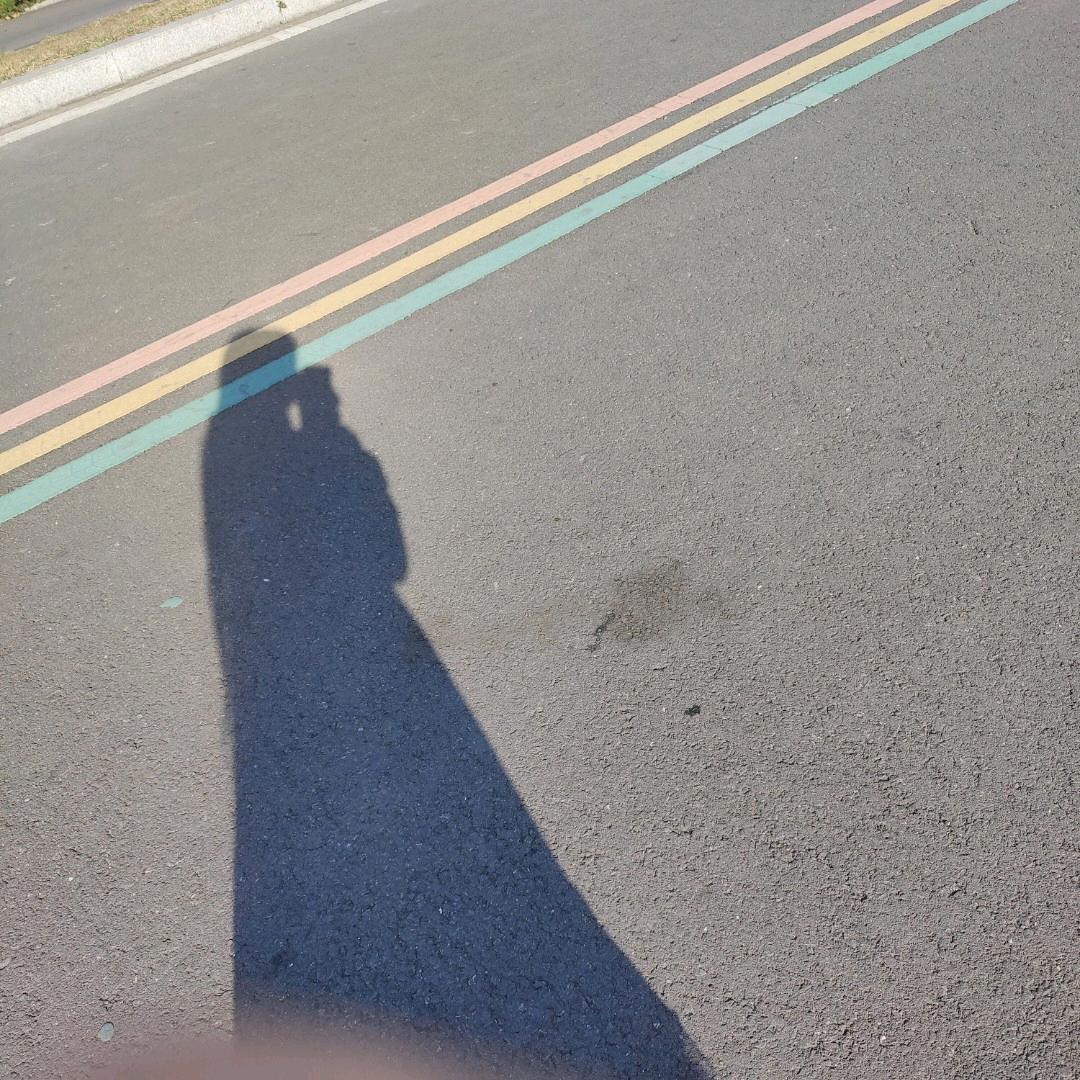 Numb丶浅陌初心