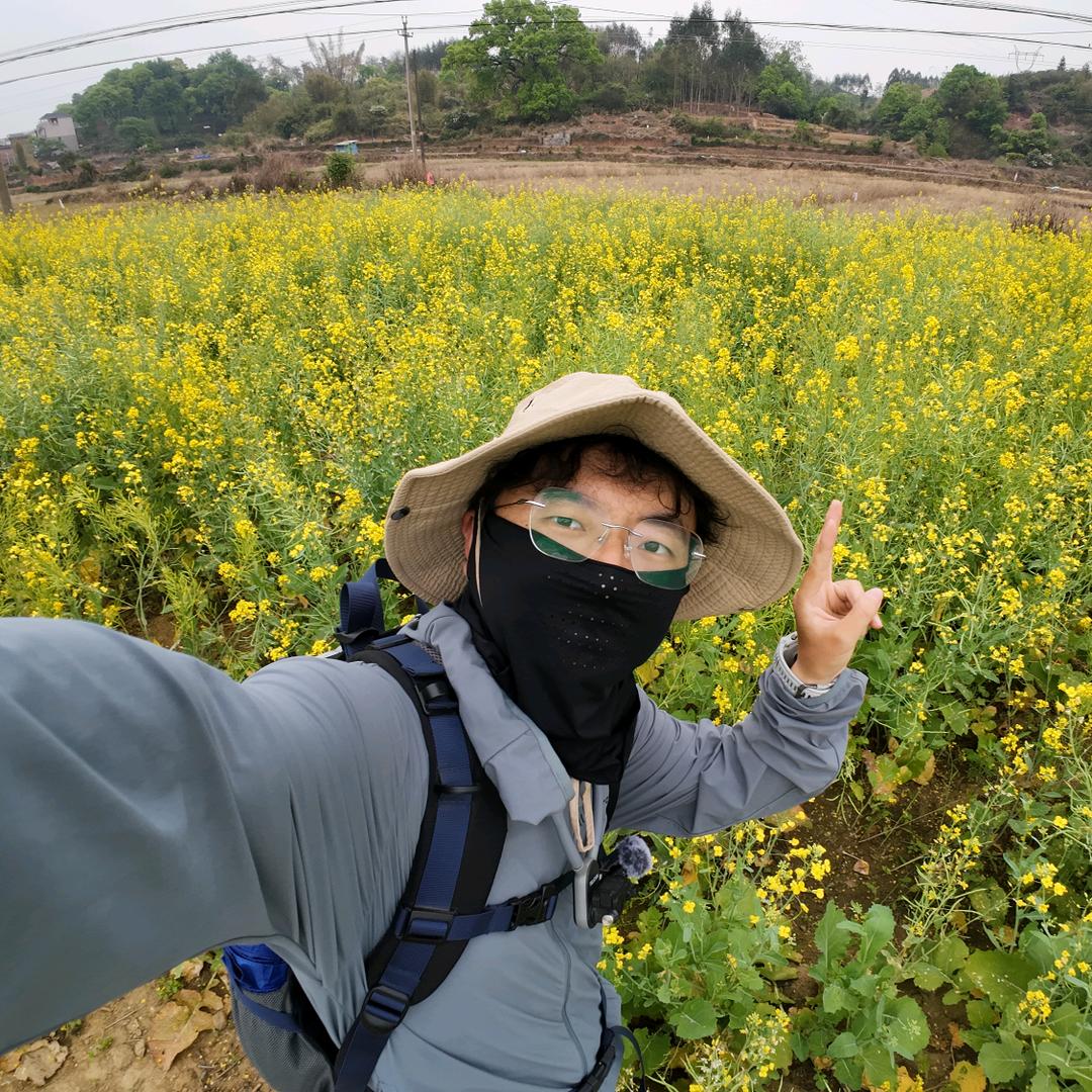 菜菜和他的朋友们