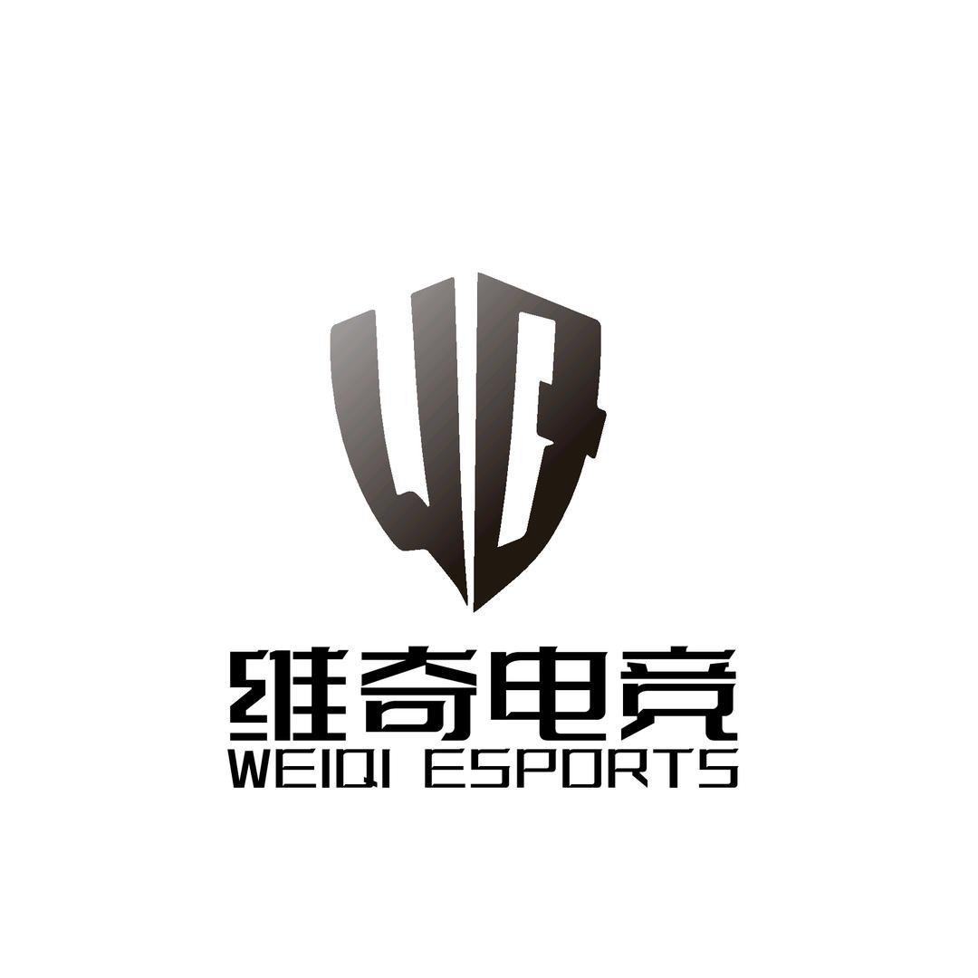 维奇电竞（三角洲行动）招绿玩高手