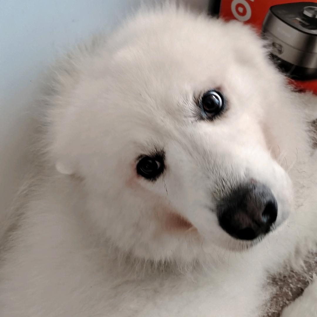 懒.
