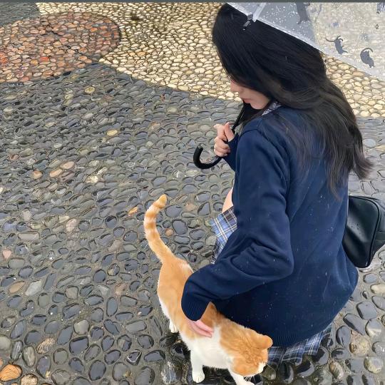 秋哈哈