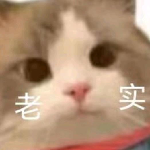 春山漫行_