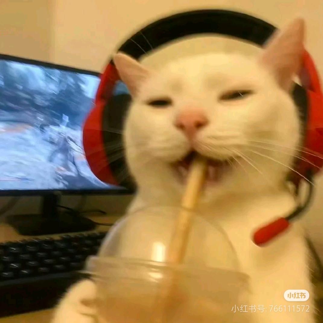 有点小抽象