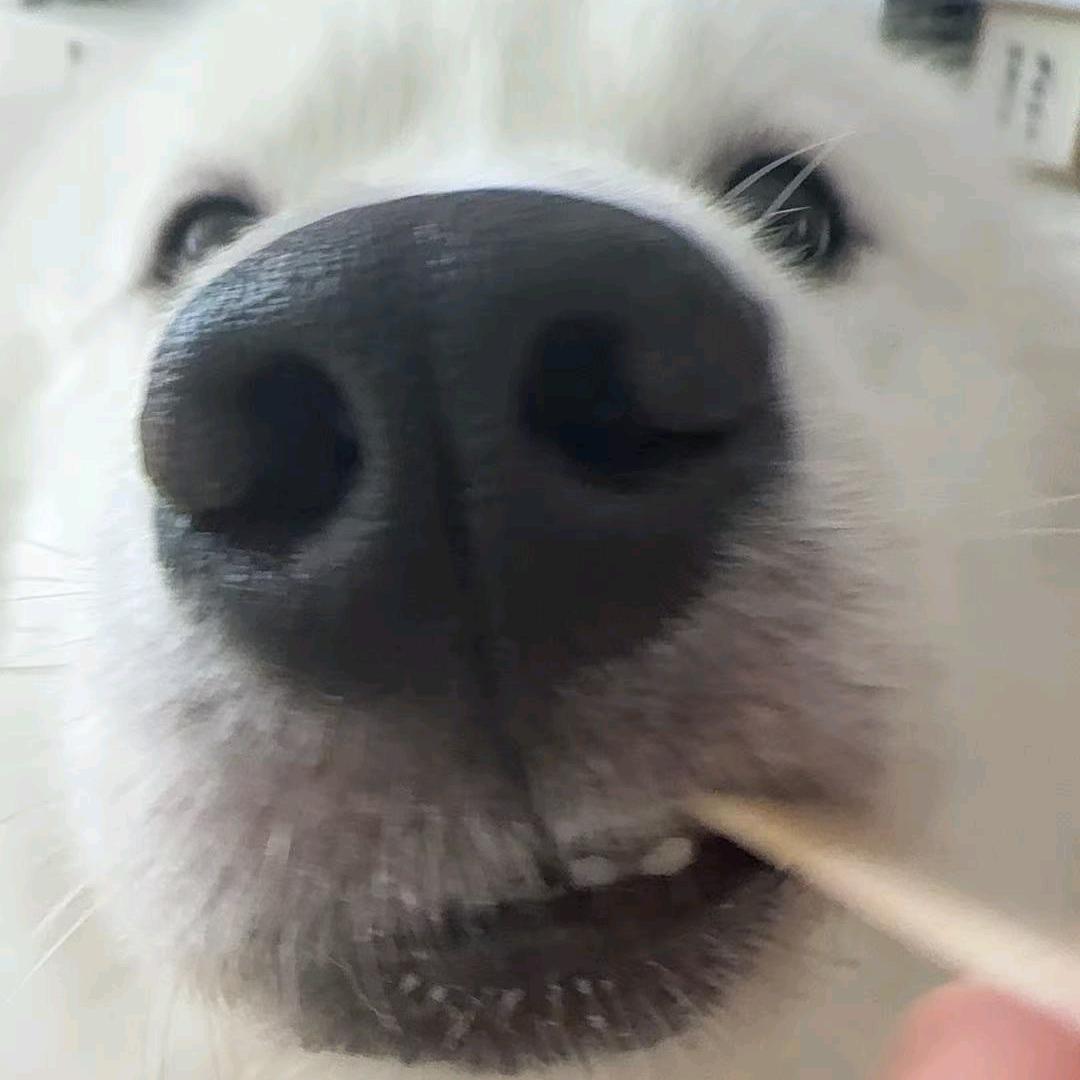 难洗的袜子