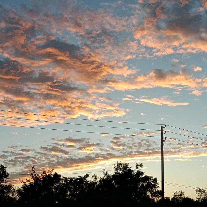香葱大饼 邓州市