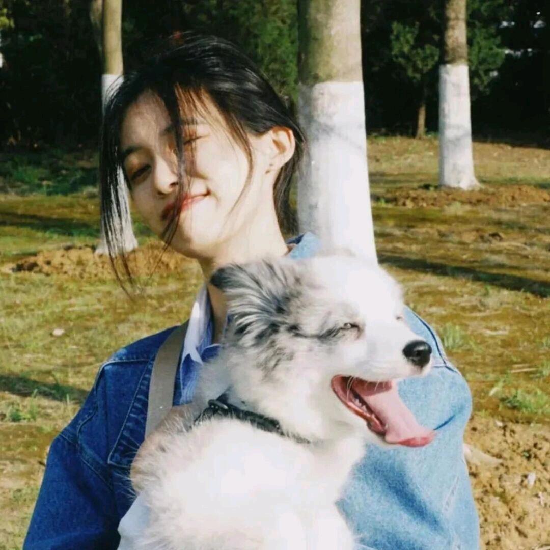 不爱麻瓜