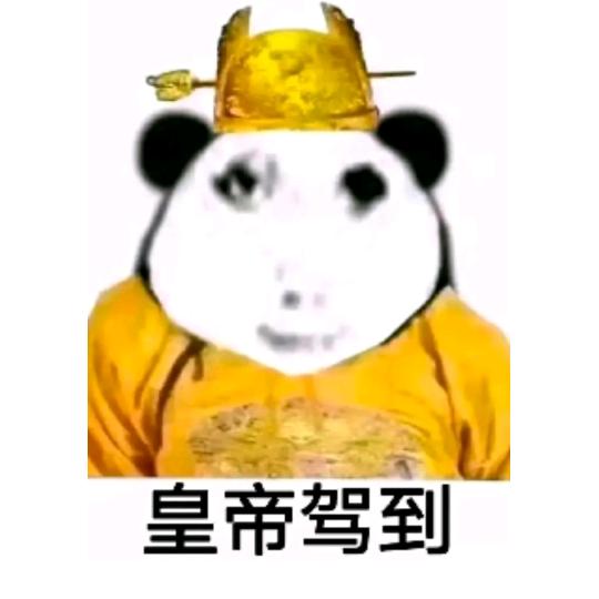 尖叫🐱
