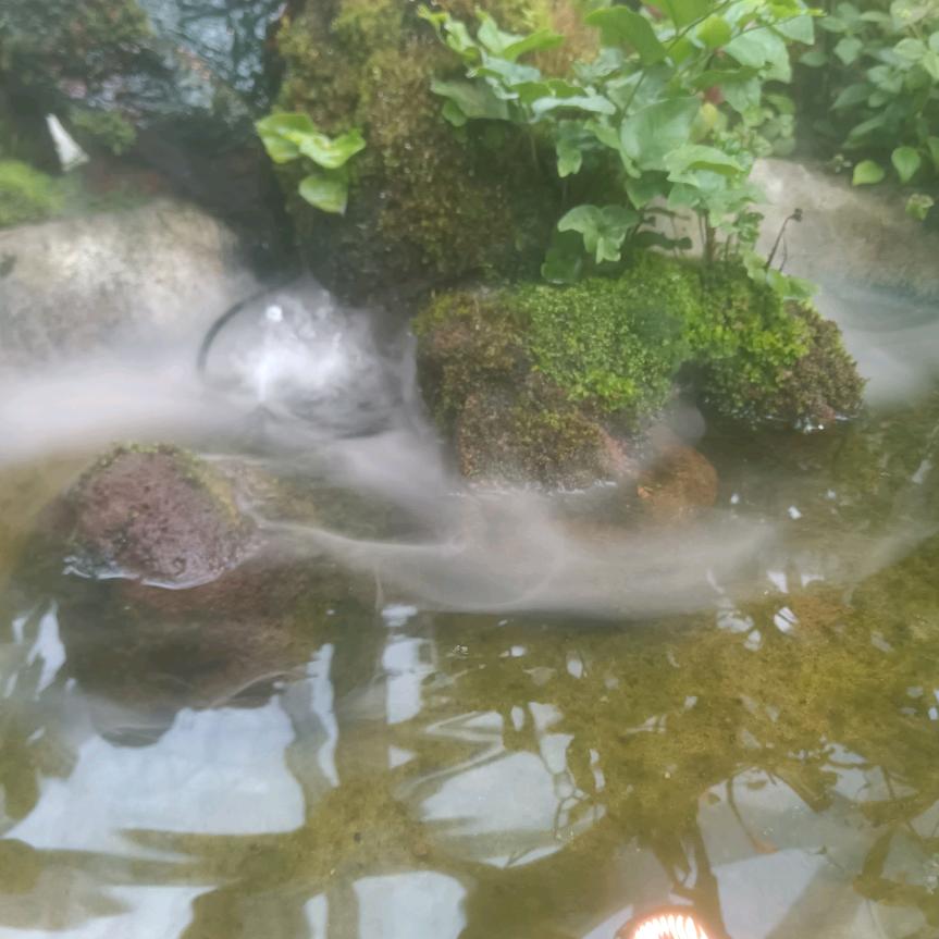 （未雨绸缪）