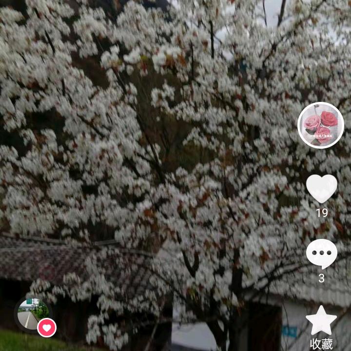 春花手工
