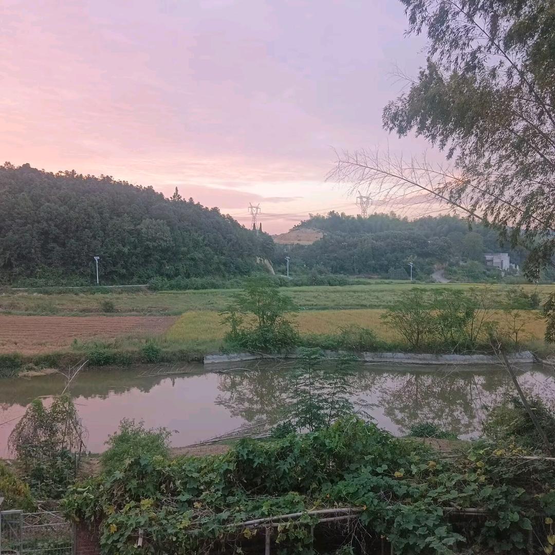 雨果果
