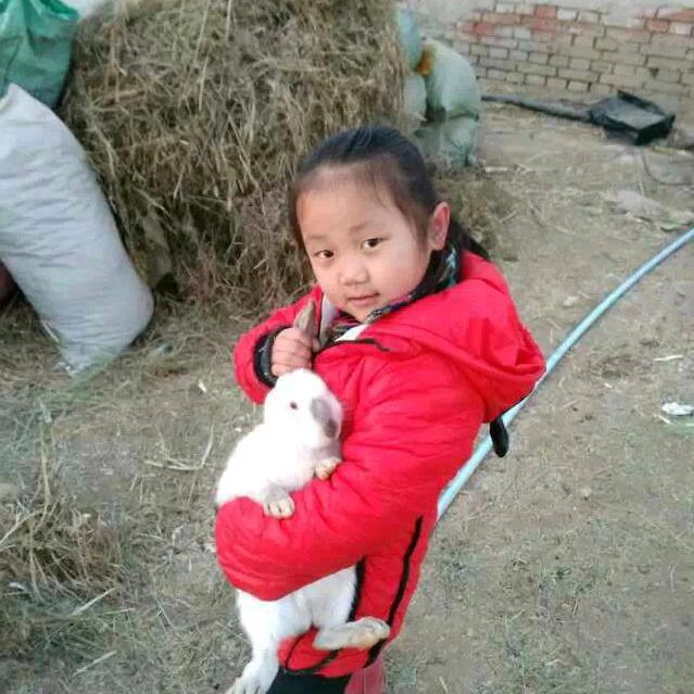 猫🐱🐱🐱🐱🐱🐱🐱